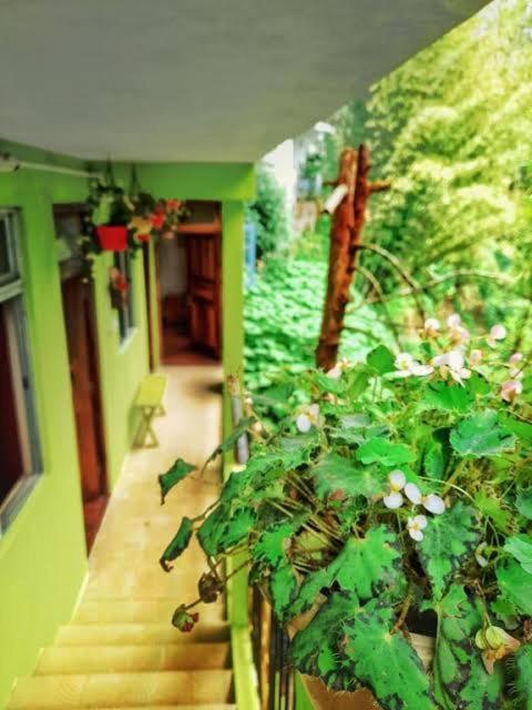 Silver Sun Official Darjeeling (West Bengal) Exterior foto